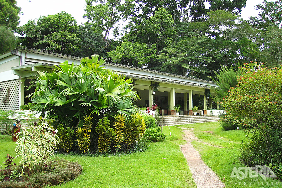 De beroemde Jardin Botanique, in 1900 aangelegd door de missionaris Frère Gillet