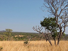 Uitgestrekte savanne in de streek rond Kolwezi