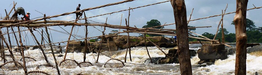 Kisangani en afvaart van de Congostroom | 11 dagen